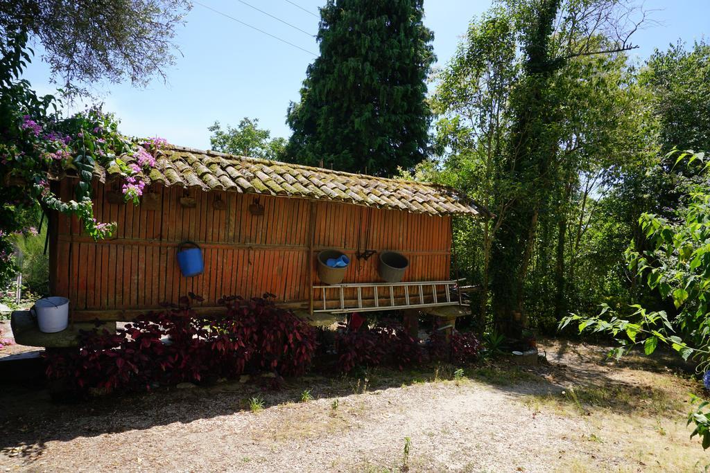 Casa Do Lugar De Pacos Hotel Caldelas Exterior photo